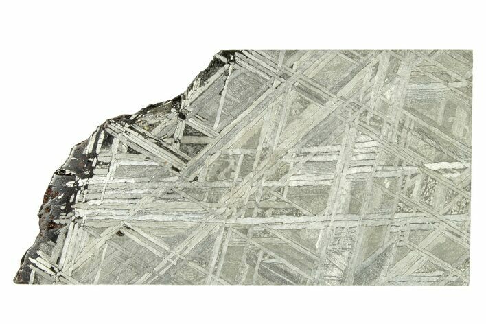 Etched Muonionalusta Meteorite Slice ( g) - Sweden #272262